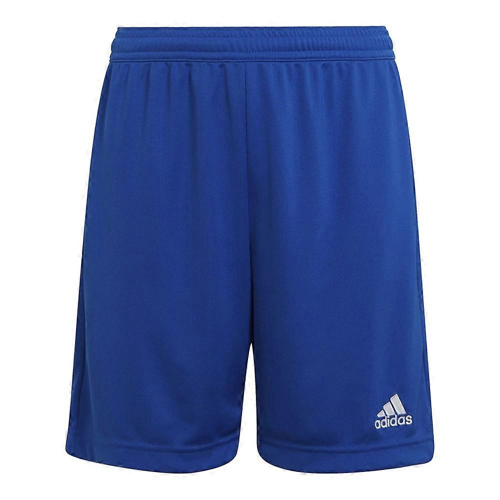 Adidas Entrada 22 HG6291 training summer boy