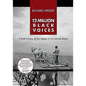 12 miljoner svarta röster: En folkhistoria om negern i USA