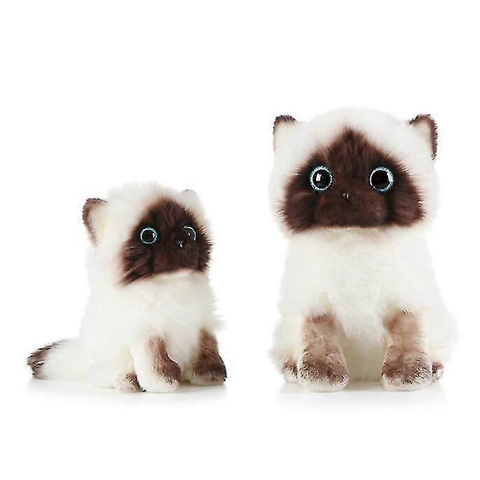 Leuke Ragdoll Kat Pluche Knuffels