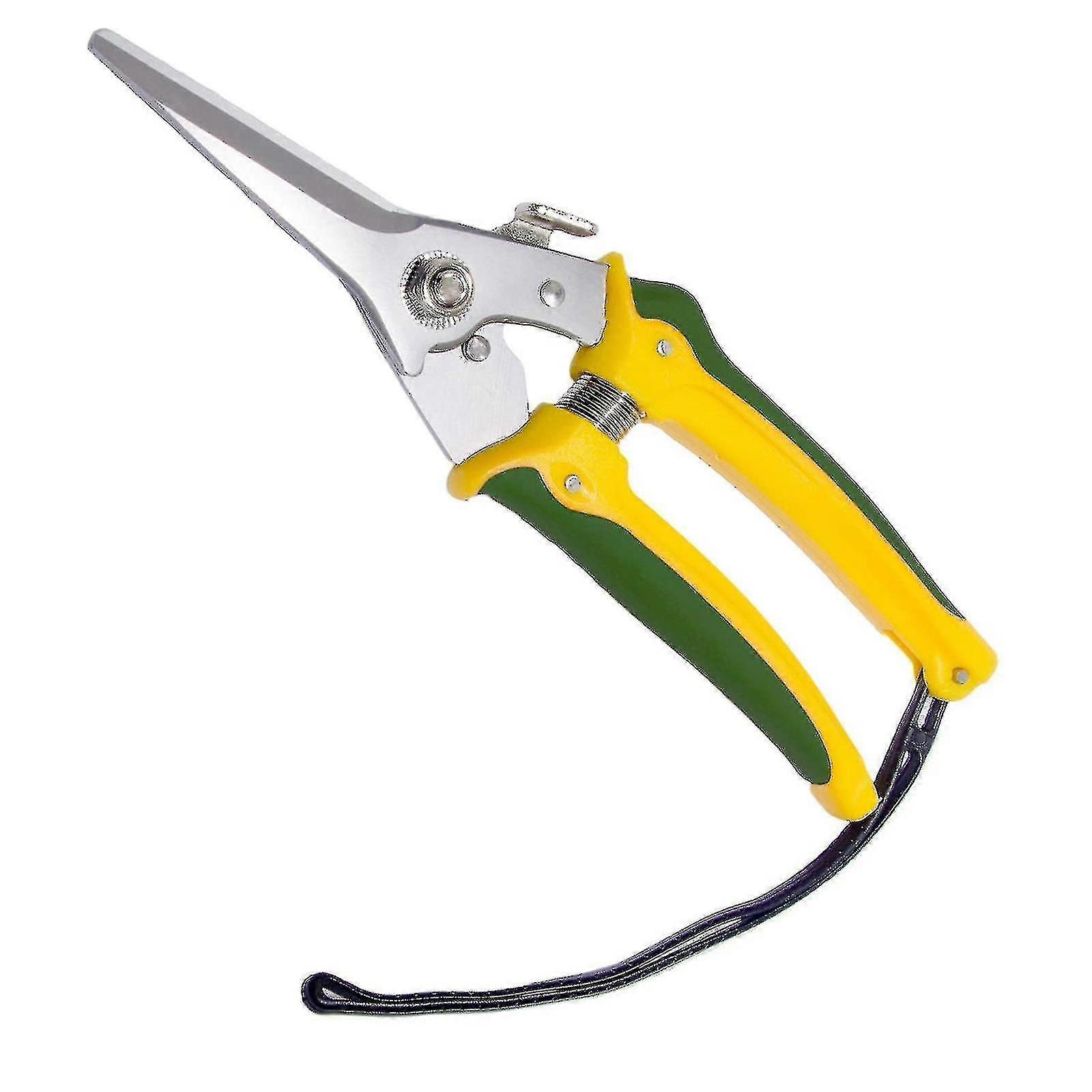 Specialists Resistant Foot Rot Shears Sheep Horse Hoof Shears Trimming PrunA6