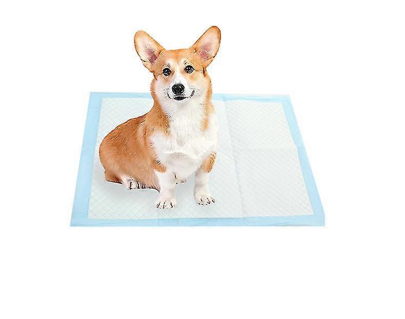 Dog Pee Pads With Leak-proof 5-layer With Quick-dry Surface