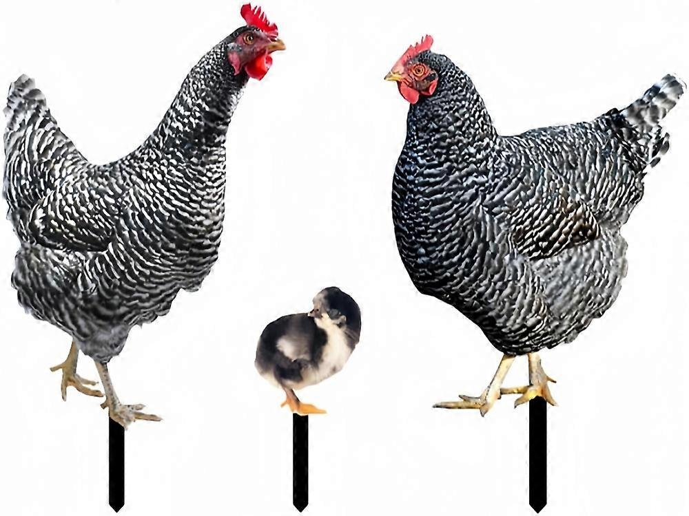 3pcs Acrylic Hen Chick Yard  Chicken Lawn Ornament