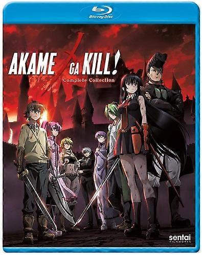 Akame Ga Kill : Complete Collection [Blu-Ray Région A : États-Unis] Anamorphique, sous-titré États-Unis import