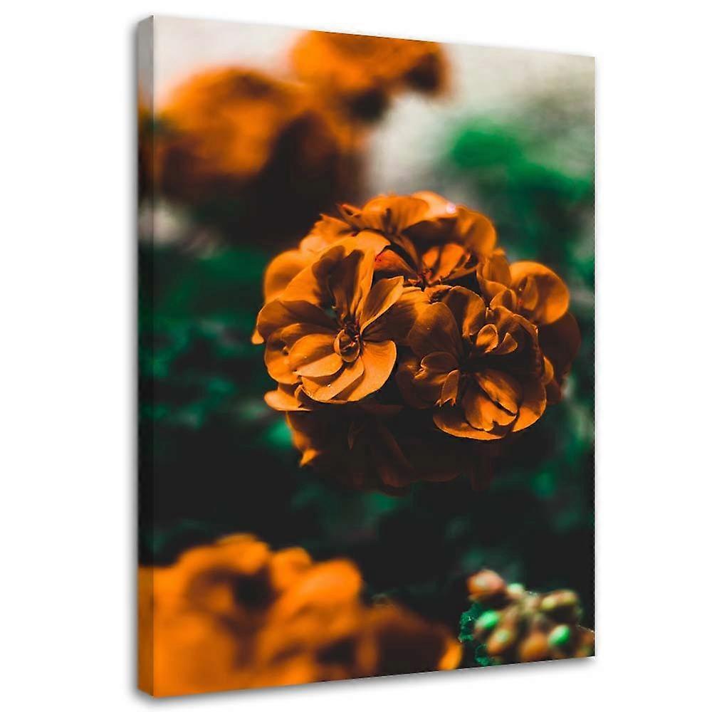 Pânză, Flori portocalii - 40x60
