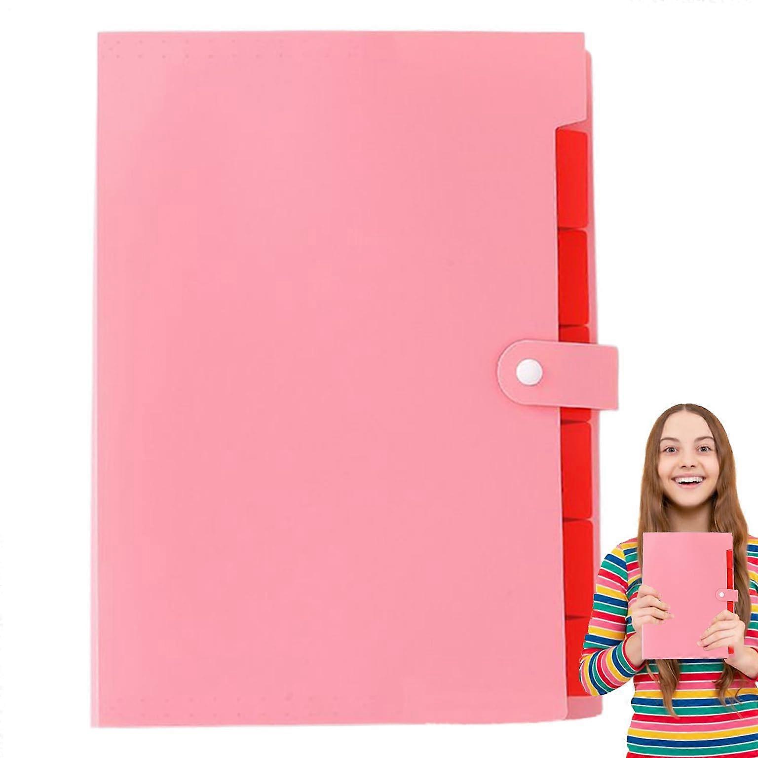 Document folder, paper organizer – A4 size, portable file holder with colored labels, rose.