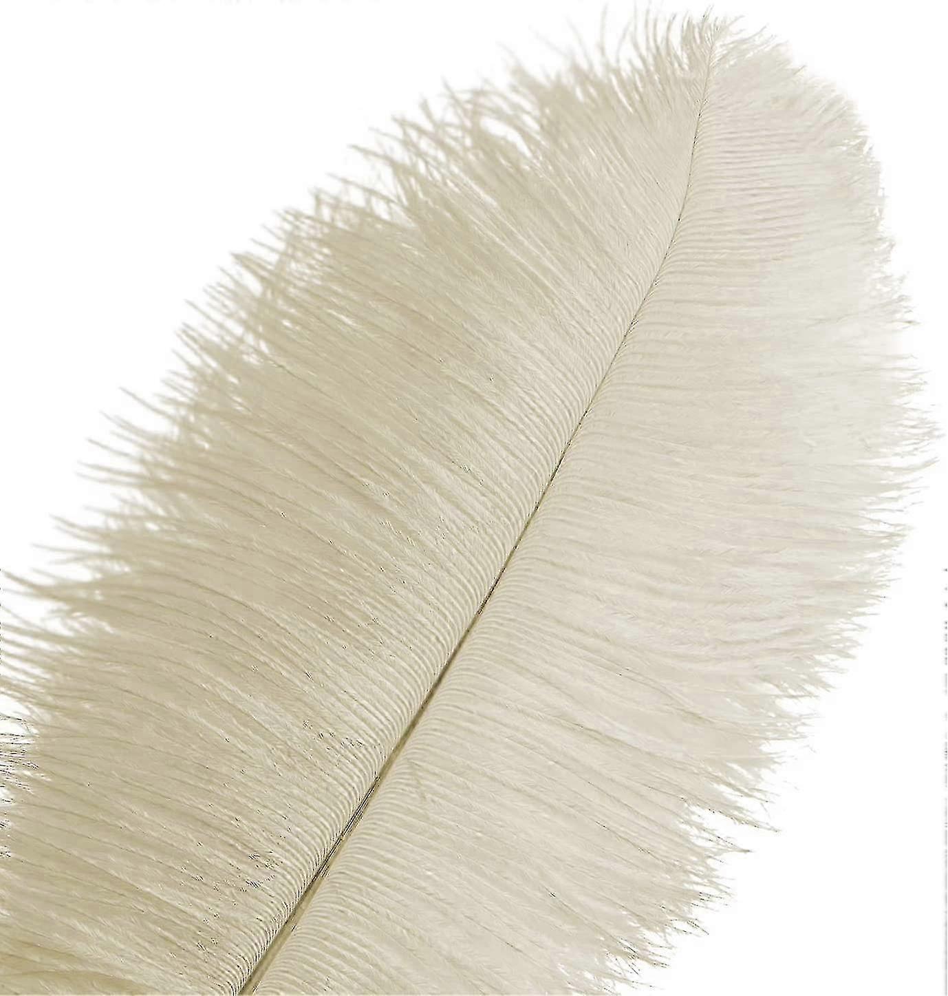 50pcs Ostrich Feathers For Decorations