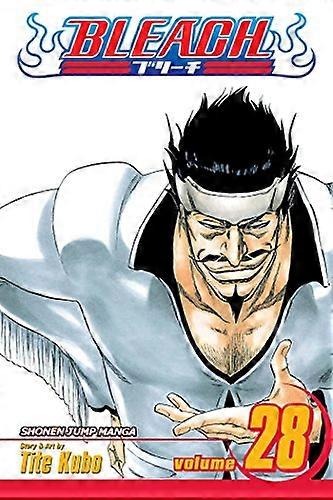 Bleach Vol. 28