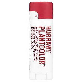 Hurraw! Balm, PlantColor™, Lip Color, No 1, 0.17 oz (4.8 g), 3-Pack