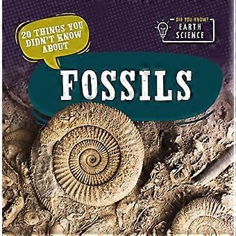 20 cose che non sapevi sui fossili
