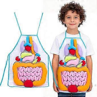 Human Organ Apron 9pcs - Plush Anatomy Model, Educational Toy, Detachable premium