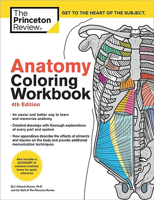 Anatomy Coloring Workbook 4th Edition by Edward Alcamo Paperback