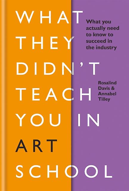 What They Didnt Teach You In Art School by Annabel Tilley Hardback Book