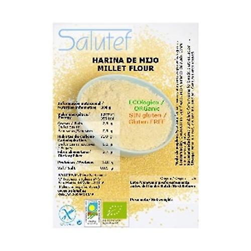 Millet flour ECO 300 g of powder
