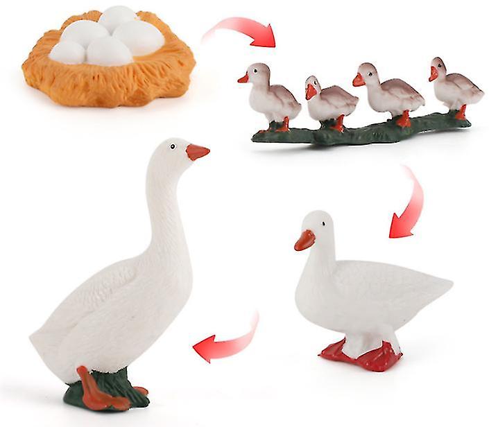 Duck 4pcs Chicken, Duck And Goose Growth Cycle Scientific Exploration Set Miniature Poultry Animal Model Children's Toy Az16285