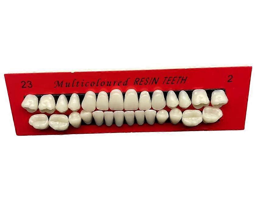 高い耐摩耗性と漕ぎ歯の強力な練習を備えた歯科用口腔用樹脂歯の粒子