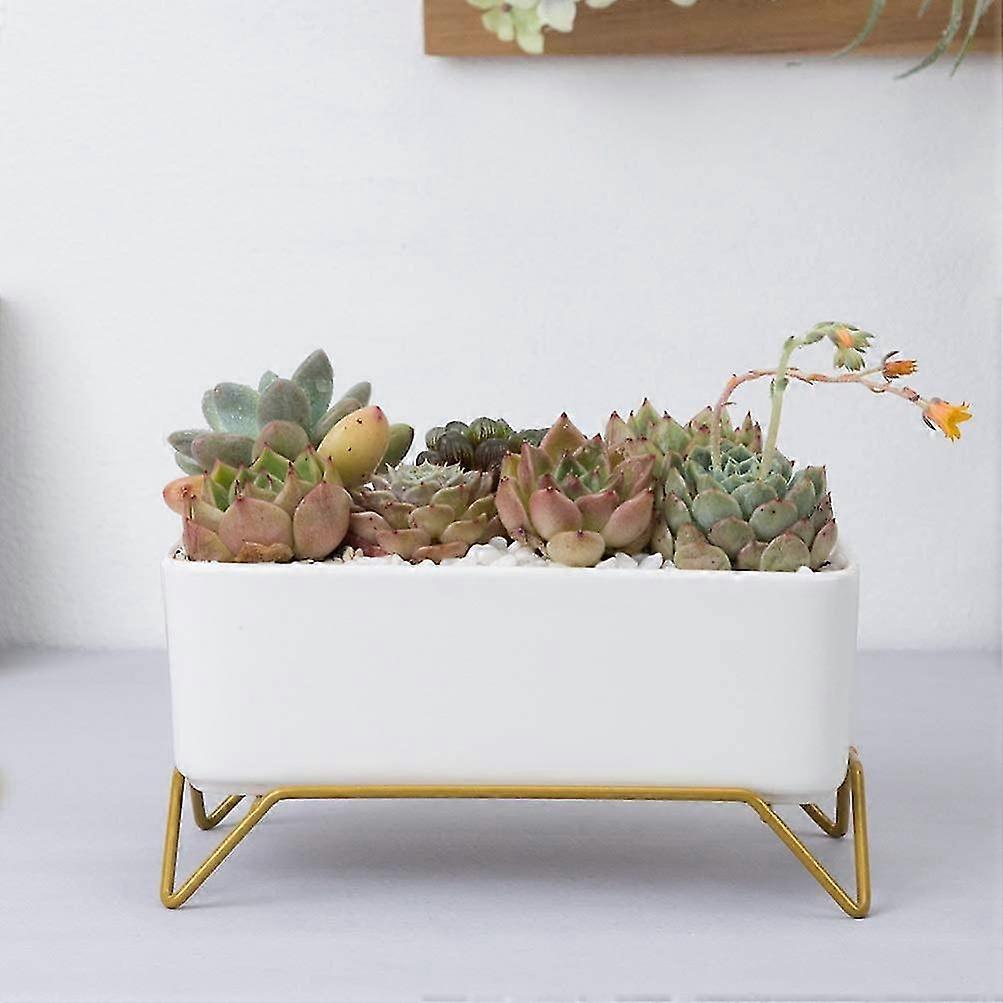 2024 Ceramic Flowerpots With Iron Stand - For Succulents - Rectangular - For Office, Succulents