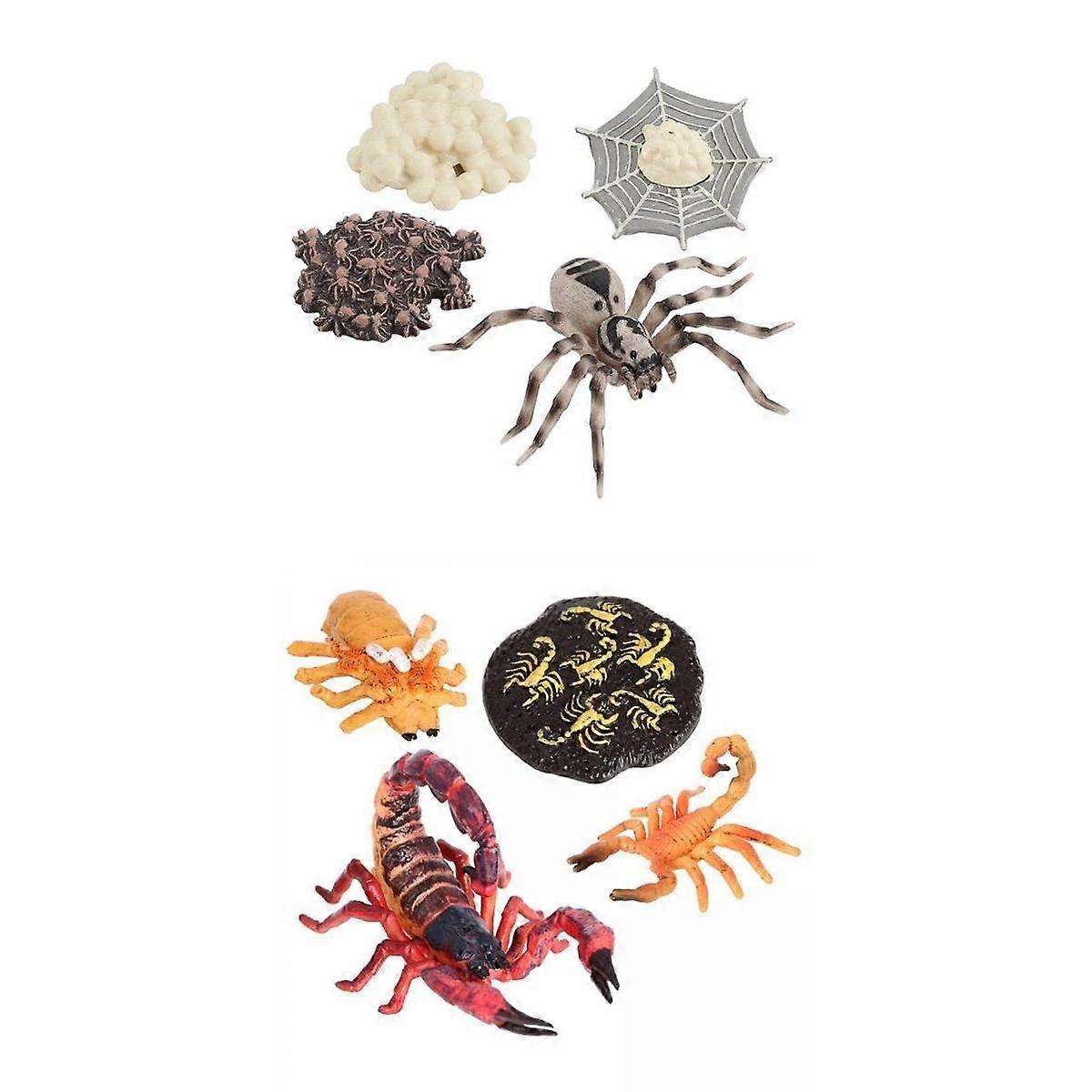 Life Cycle of Spiders Plastic Realistic Model Figurines Learning Educational