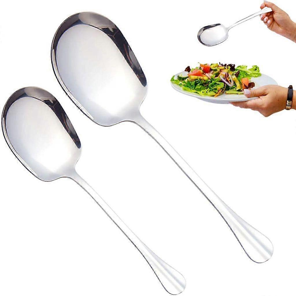 Two Stainless Steel Serving Spoons, Serving Spoons, Long Handled Serving Spoons