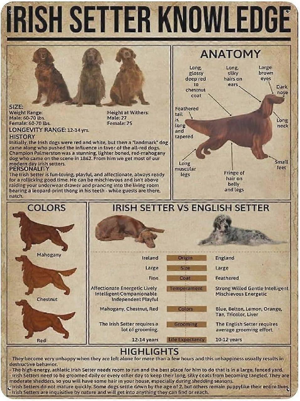Great Pyrenees Knowlegde Metal Tin Sign Artwork Poster Outdoor Sign Vintage Decor Plaque Poster Cave Garage Pub Bar Kitchen Home Decoration 16"x12"