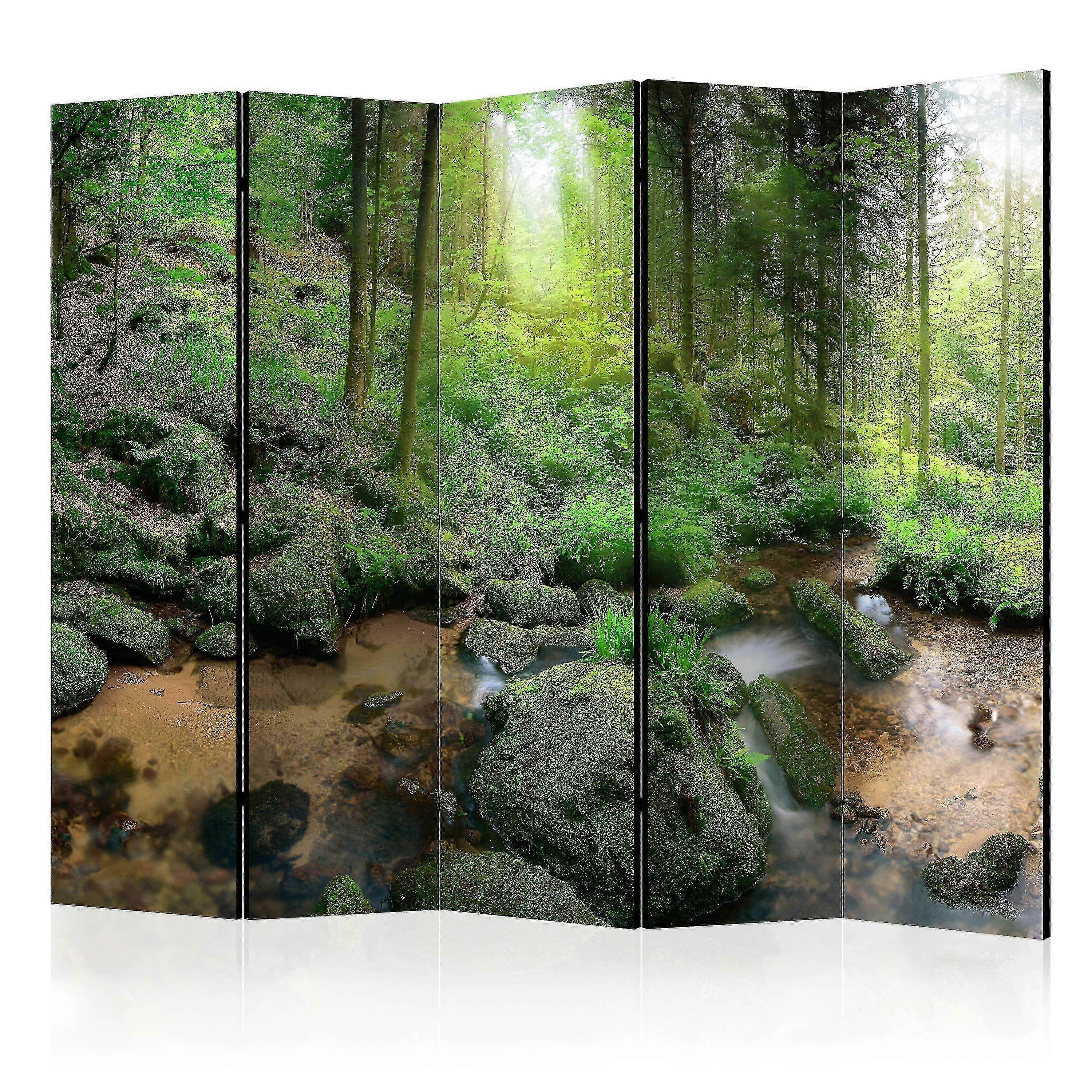 Divisorio - Foresta Umida II