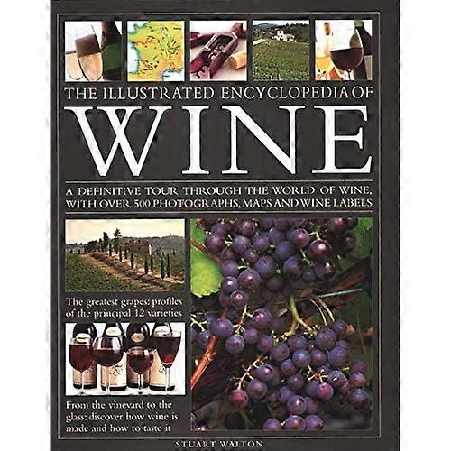 Ny illustrerad guide till vin