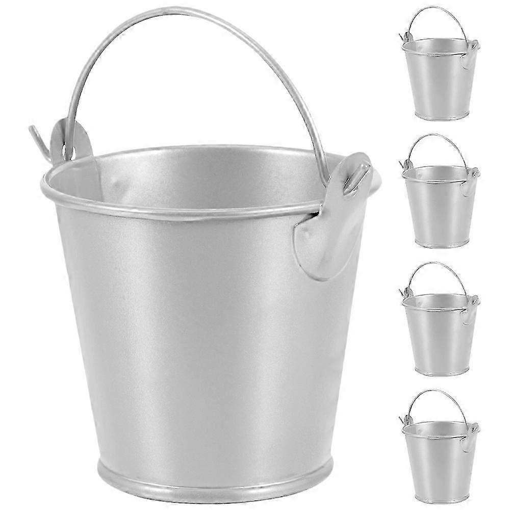 5pcs Small Metal Buckets with Handles Mini Tin Pails for Party Favors Succulents