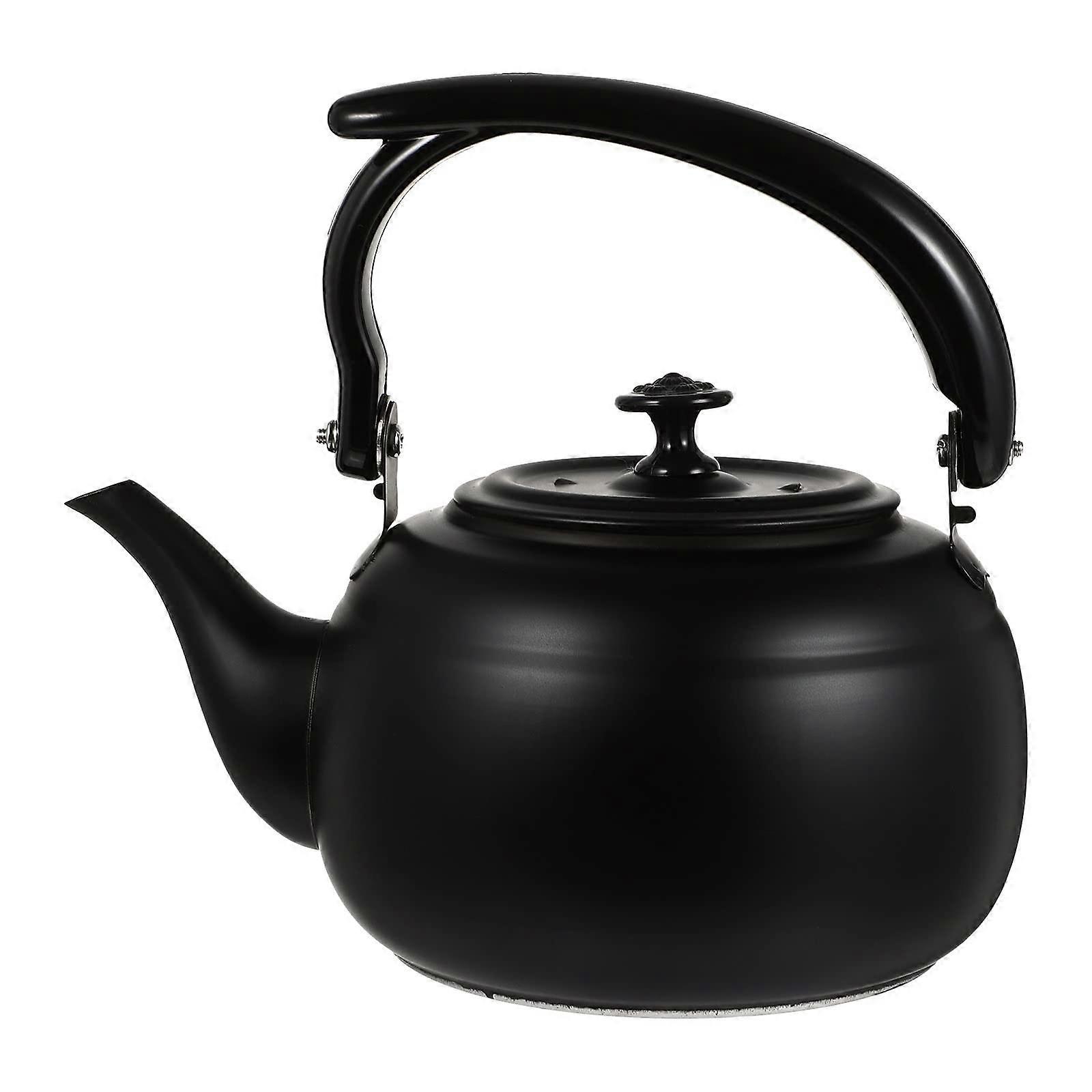 Travel Kettle Teapot Stainless Steel Pot with Infuser for Loose Tea, Small Iron Japanese Camping Kettle, Black