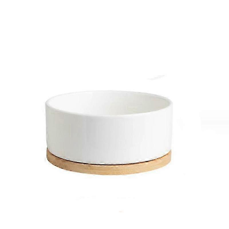 Portable ceramic water bowl for dogs with heating function