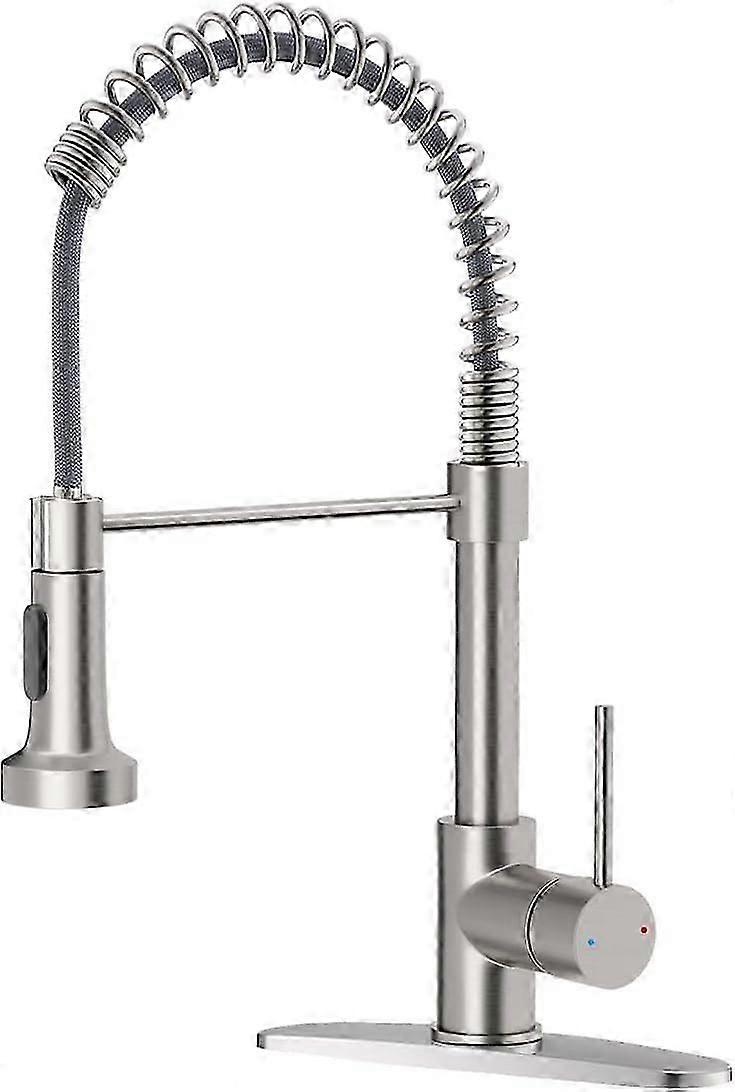 Kitchen Faucet with Pull Down Sprayer Brushed Nickel Stainless Steel Single Handle Pull Out Spring Sink Faucet 1 Hole or 3 Hole Dual Function for Farm
