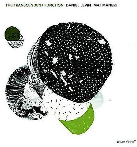 Maurizio Guarini - Transcendent Function [VINYL]