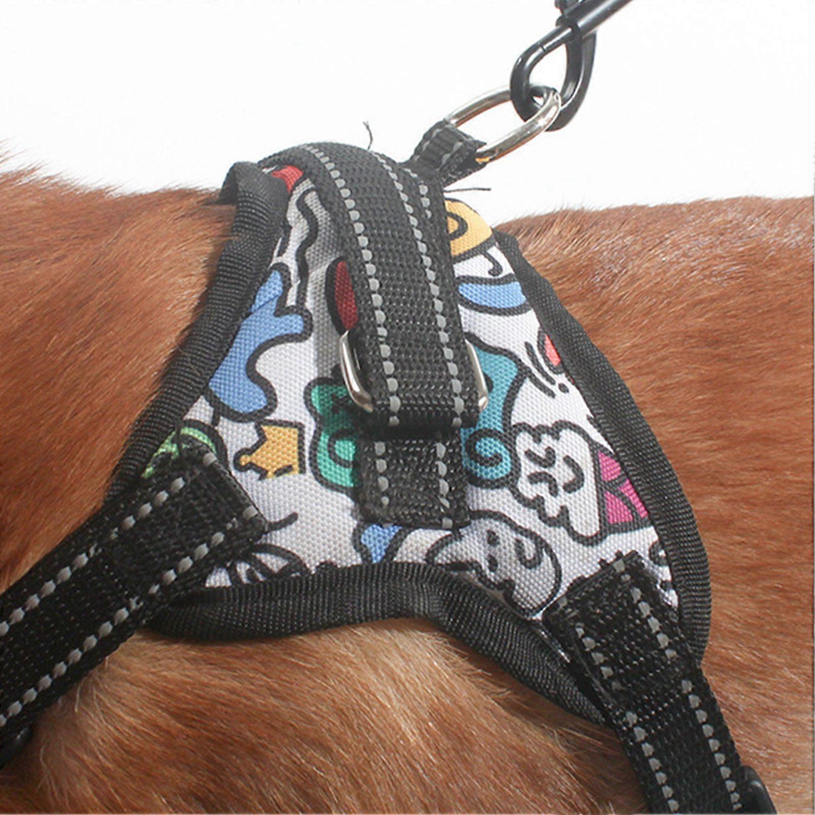 Dog Leash M 1.5m Pull Resistant Nylon Foam Handle Peacock Blue