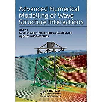 Advanced Numerical Modelling of Wave Structure Interaction