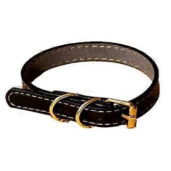 Stylish Pet Collar for Dogs & Cats, Heavy Duty Hardware, Adjustable Length for Secure Fit
