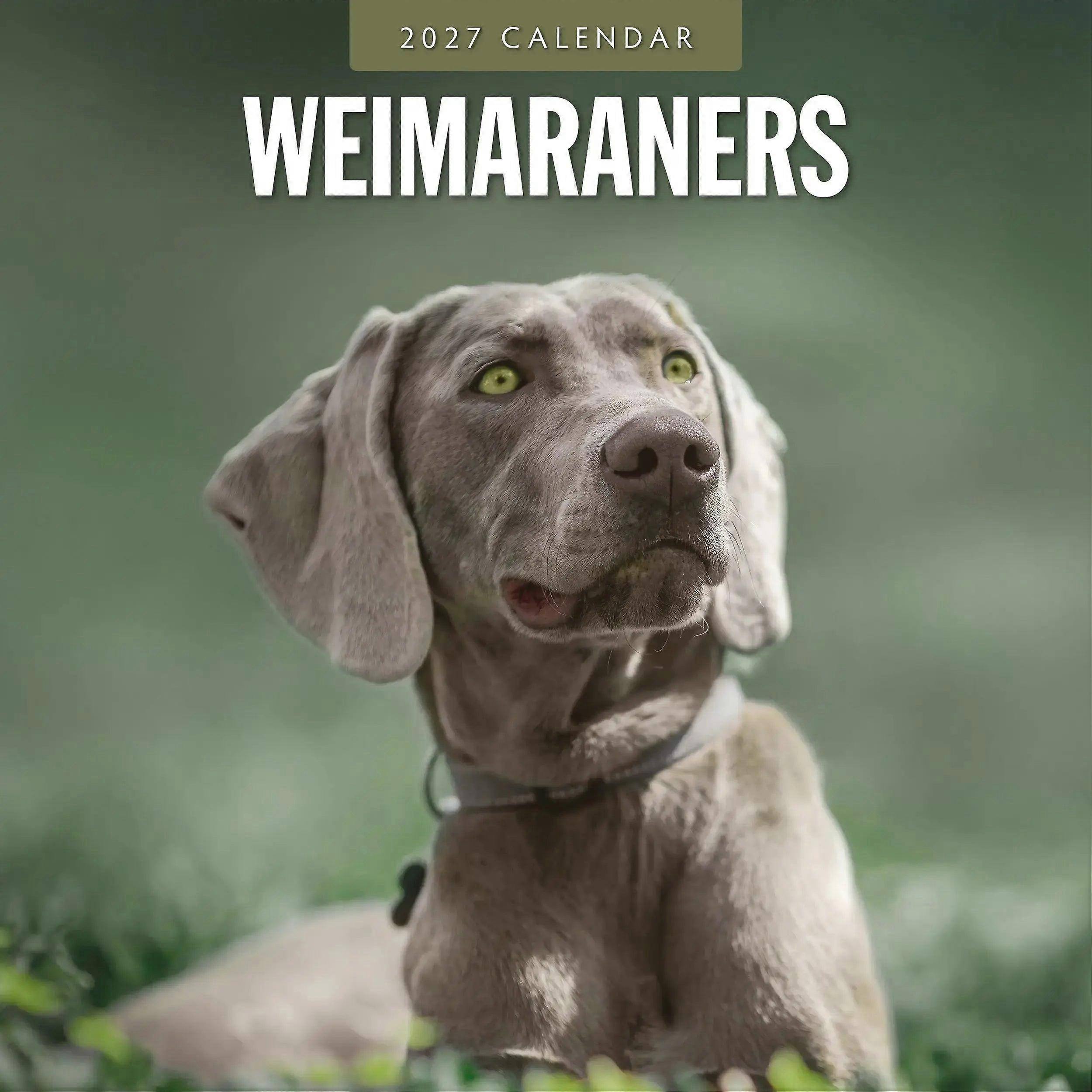 Avonside Weimaraner Calendar 2026