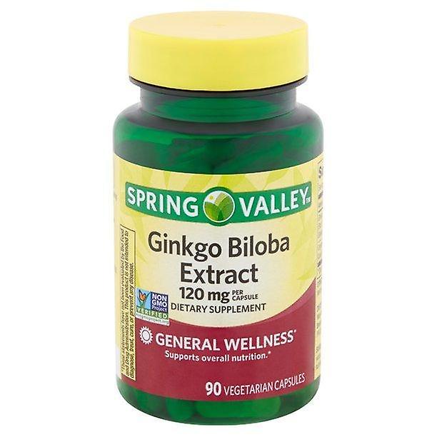 Spring Valley Ginkgo Biloba Extract Capsules 120mg, 90 Count