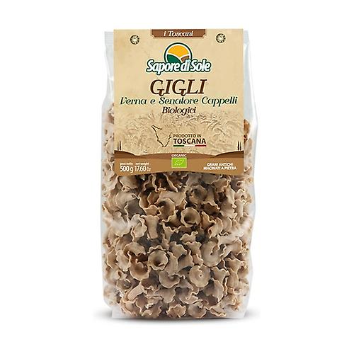 Gigli Verna and Senatore Cappelli 500 g