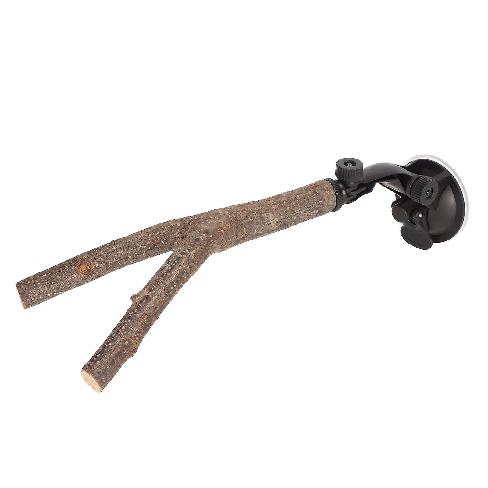 Perchoir interactif en bois antidérapant avec ventouses pour oiseaux de petite et moyenne taille (20 cm)