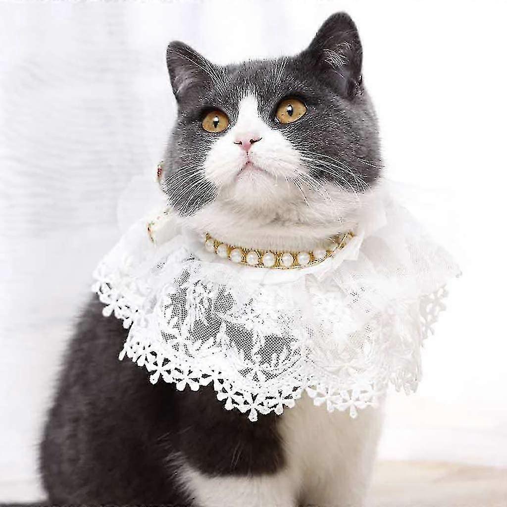 Bandana Et Chapeau Dentelle Pour Chat/chien - Blanc - Taille M, Réglable - 10