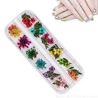 1 doos van 12 kleur 3d Nail Art Stickers echte gedroogde bloemen Nail Art, stijl 3