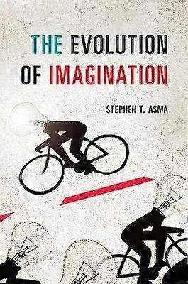 The Evolution of Imagination
