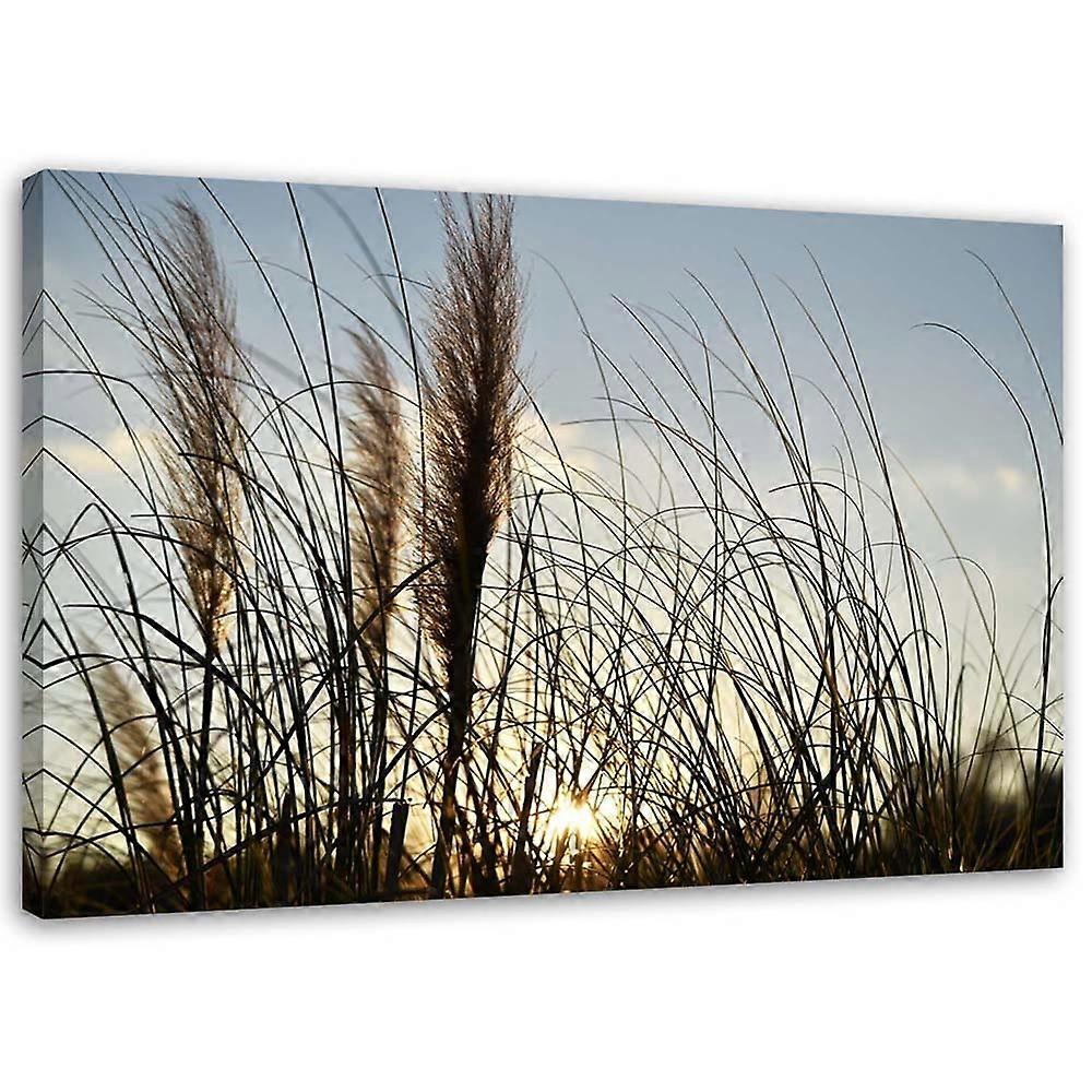 Fotoprint, Riet in de zon - 90x60
