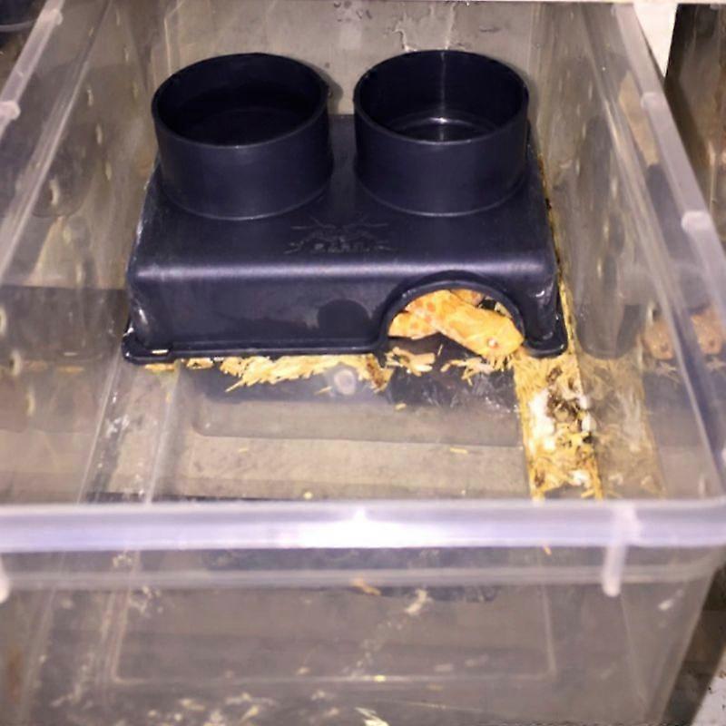 爬行动物食物喂食器多功能宠物碗 3 合 1 饮用水食物浴浴室隐藏洞穴玩具 Dec14-A