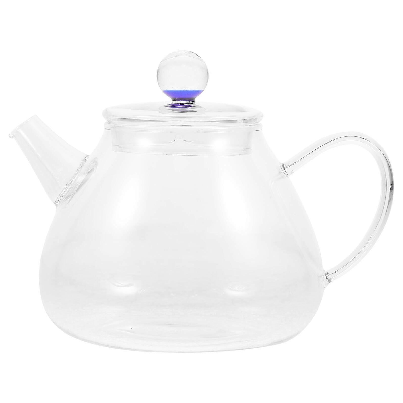 Borosilicate Glass Teapot with Infuser, Stovetop Safe for Loose Leaf, Blooming and Herbal Tea