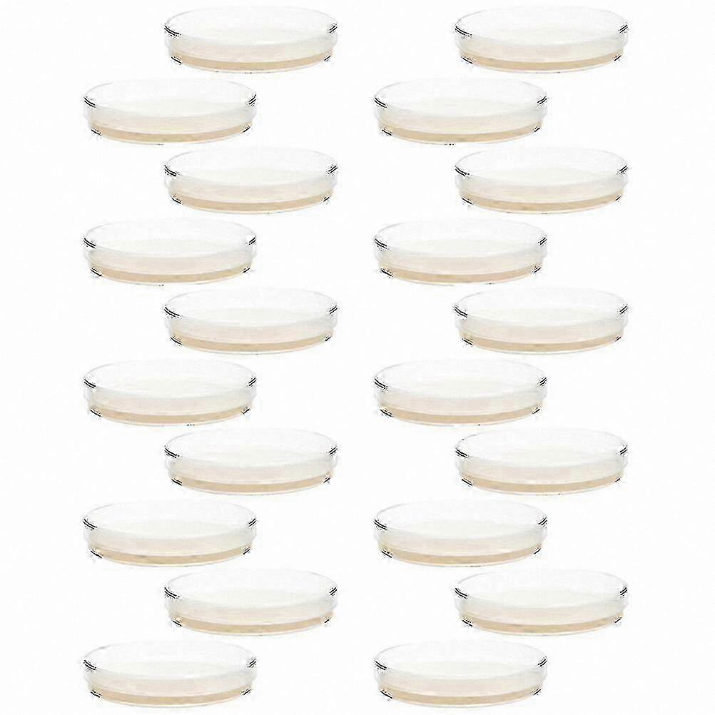 20 Pcs Pre-poured Agar Petri Dishes for Science Experiments