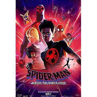 Spider-Man Fun and educational puzzles Y605