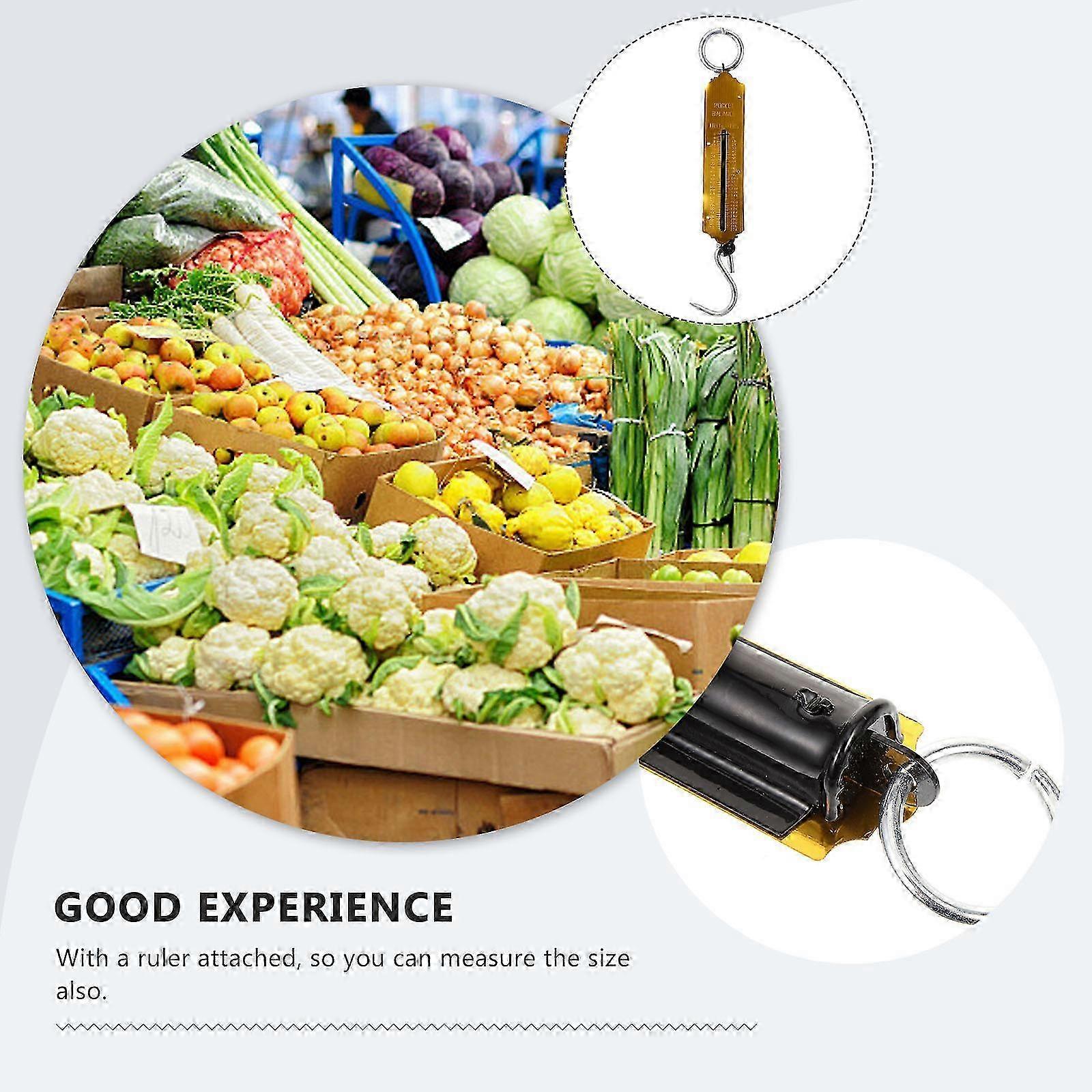 Portable 100kg Mechanical Hanging Scale