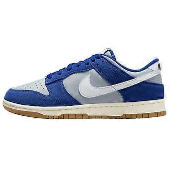 Nike Dunk Cushioning Low top skateboardsko herre blå hvite IB6399-003