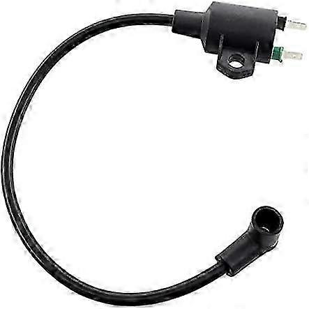Ignition Coil Compatible with Einhell STE800 ST8000 STE8000/1 STE800/1 BEX Generator