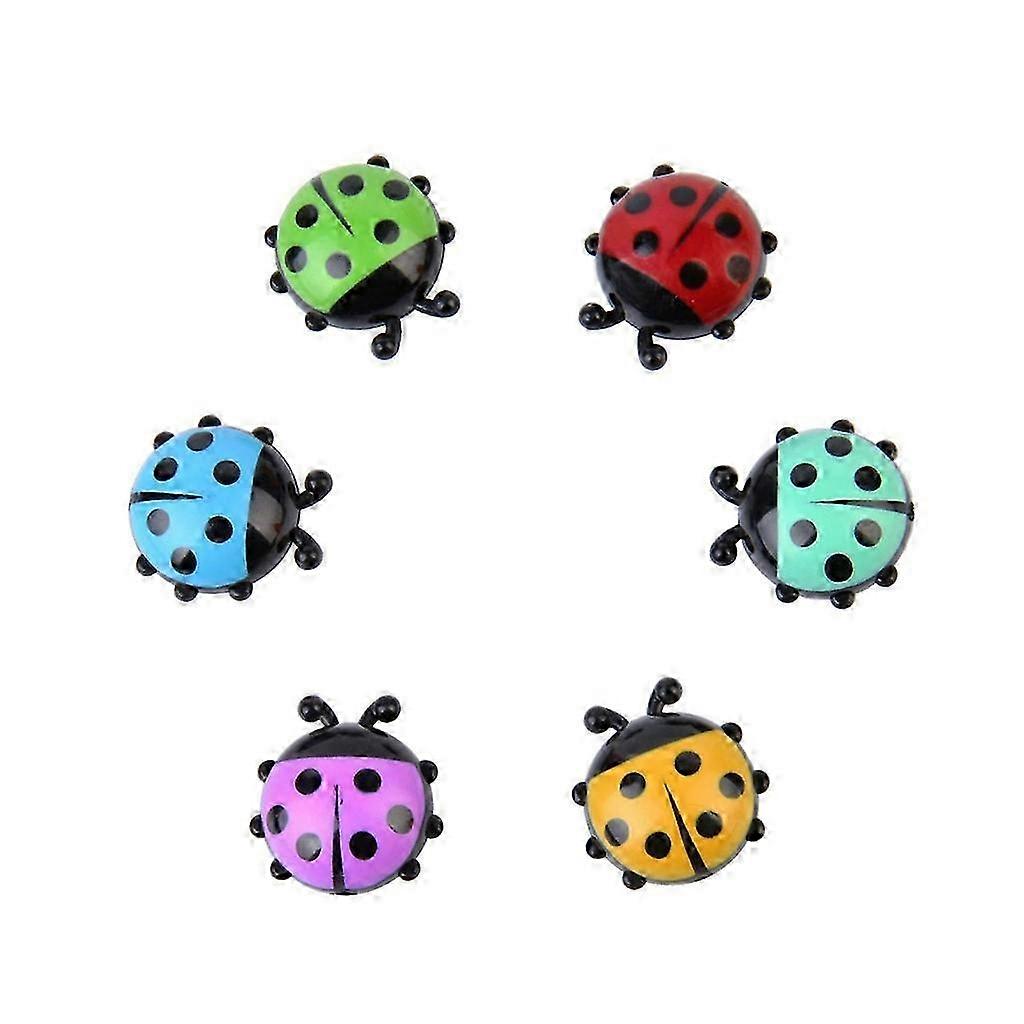 6pc Ladybug Shaped Fridge Magnets
