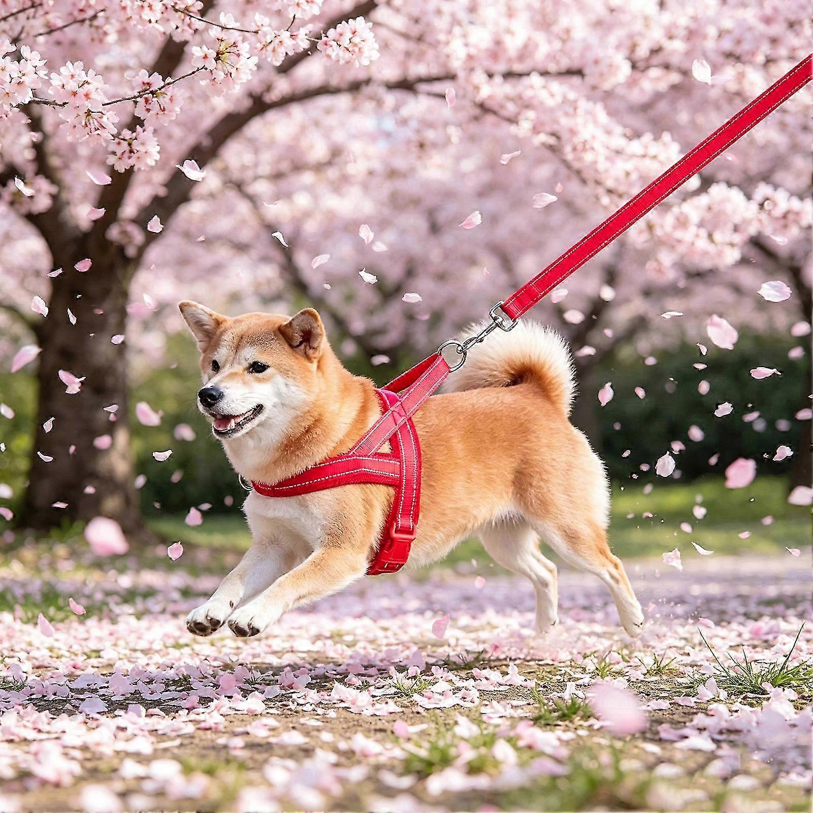 Padded Adjustable Reflective Dog Harness
